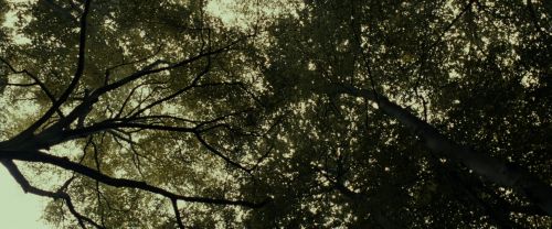 Click to view full size image
==============
RdM1-Potterish6452.jpg RdM1-Potterish6452.jpg