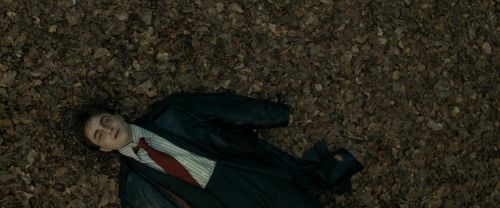 Click to view full size image
==============
RdM1-Potterish6453.jpg RdM1-Potterish6453.jpg