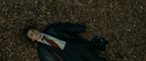RdM1-Potterish6454.jpg