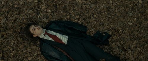Click to view full size image
==============
RdM1-Potterish6455.jpg RdM1-Potterish6455.jpg