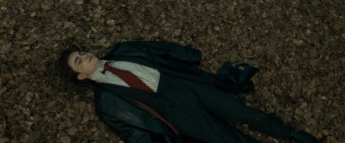 RdM1-Potterish6456.jpg