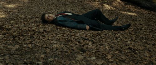 RdM1-Potterish6463.jpg