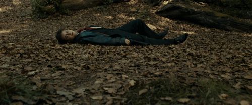 RdM1-Potterish6465.jpg