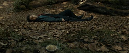 RdM1-Potterish6466.jpg