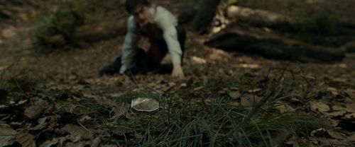 RdM1-Potterish6473.jpg