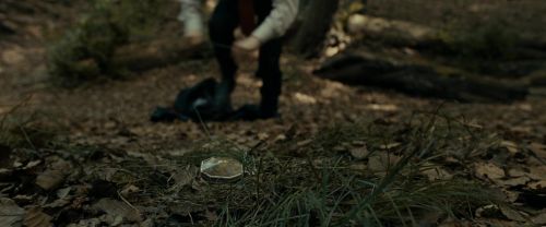 RdM1-Potterish6474.jpg