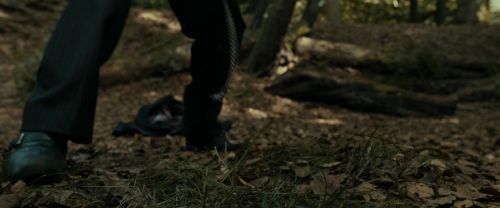 Click to view full size image
==============
RdM1-Potterish6478.jpg RdM1-Potterish6478.jpg
