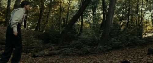 Click to view full size image
==============
RdM1-Potterish6486.jpg RdM1-Potterish6486.jpg