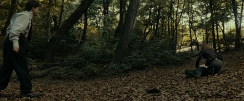 RdM1-Potterish6489.jpg