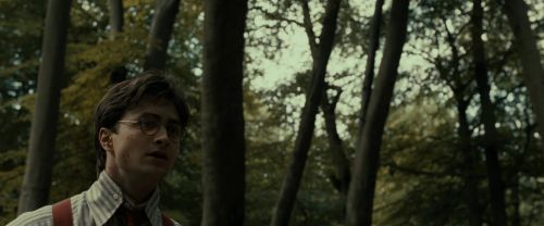 Click to view full size image
==============
RdM1-Potterish6490.jpg RdM1-Potterish6490.jpg