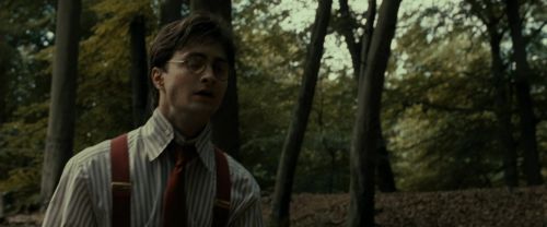 RdM1-Potterish6491.jpg