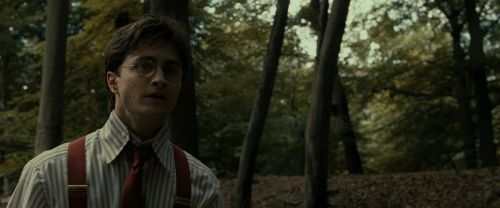 RdM1-Potterish6492.jpg