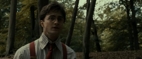 Click to view full size image
==============
RdM1-Potterish6493.jpg RdM1-Potterish6493.jpg