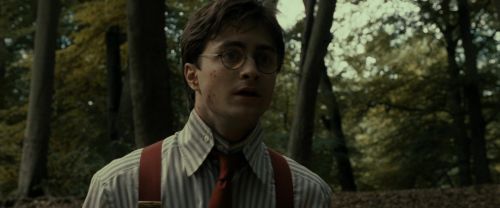 RdM1-Potterish6494.jpg