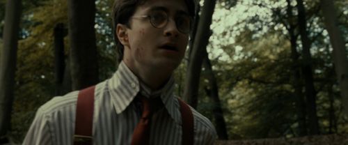 RdM1-Potterish6495.jpg