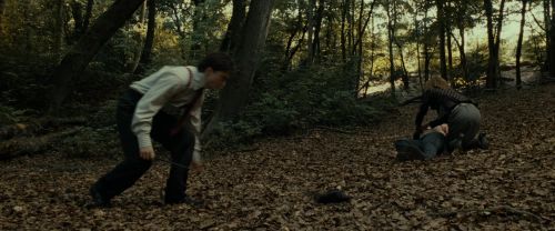 Click to view full size image
==============
RdM1-Potterish6497.jpg RdM1-Potterish6497.jpg