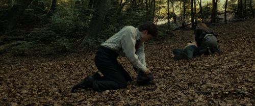 Click to view full size image
==============
RdM1-Potterish6501.jpg RdM1-Potterish6501.jpg