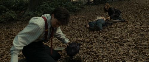 Click to view full size image
==============
RdM1-Potterish6514.jpg RdM1-Potterish6514.jpg