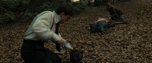 RdM1-Potterish6515.jpg