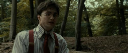 Click to view full size image
==============
RdM1-Potterish6523.jpg RdM1-Potterish6523.jpg