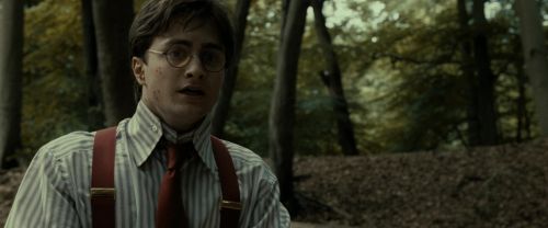 RdM1-Potterish6524.jpg