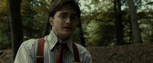 RdM1-Potterish6525.jpg