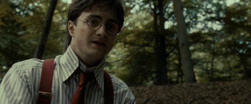RdM1-Potterish6526.jpg