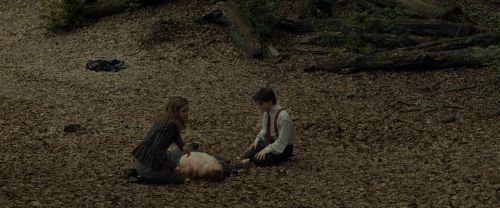RdM1-Potterish6602.jpg