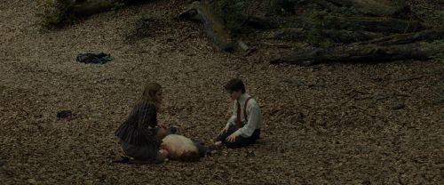 RdM1-Potterish6603.jpg