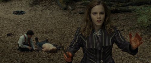 RdM1-Potterish6620.jpg