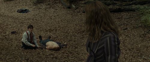 Click to view full size image
==============
RdM1-Potterish6634.jpg RdM1-Potterish6634.jpg