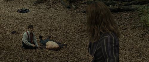Click to view full size image
==============
RdM1-Potterish6635.jpg RdM1-Potterish6635.jpg