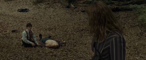 RdM1-Potterish6638.jpg