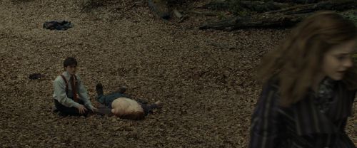 RdM1-Potterish6640.jpg