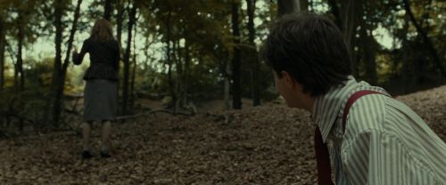 Click to view full size image
==============
RdM1-Potterish6647.jpg RdM1-Potterish6647.jpg