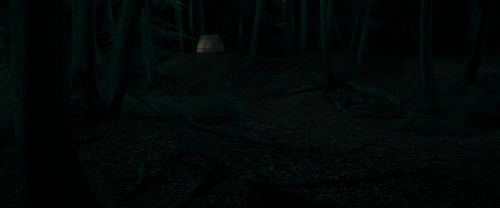 RdM1-Potterish6660.jpg