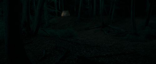 RdM1-Potterish6661.jpg