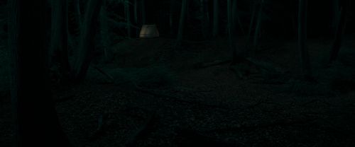 RdM1-Potterish6665.jpg