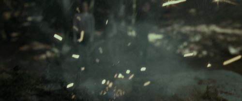 RdM1-Potterish6674.jpg