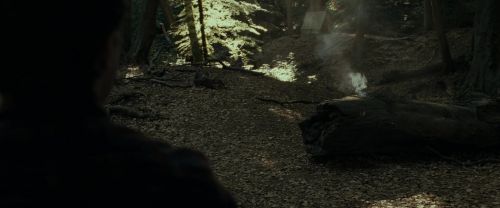 RdM1-Potterish6676.jpg