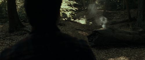 RdM1-Potterish6678.jpg