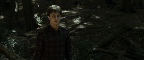 RdM1-Potterish6679.jpg