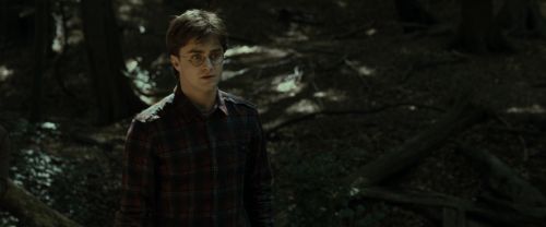 RdM1-Potterish6680.jpg