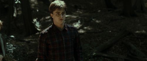RdM1-Potterish6681.jpg