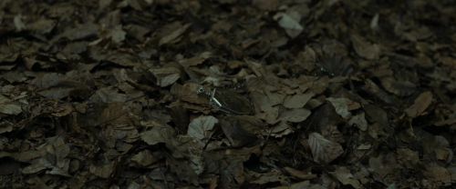 Click to view full size image
==============
RdM1-Potterish6693.jpg RdM1-Potterish6693.jpg