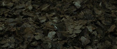 Click to view full size image
==============
RdM1-Potterish6694.jpg RdM1-Potterish6694.jpg