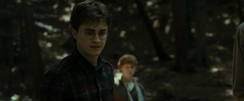 RdM1-Potterish6697.jpg