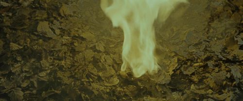Click to view full size image
==============
RdM1-Potterish6703.jpg RdM1-Potterish6703.jpg