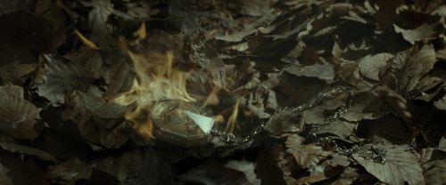 RdM1-Potterish6708.jpg