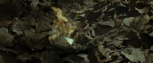 RdM1-Potterish6709.jpg